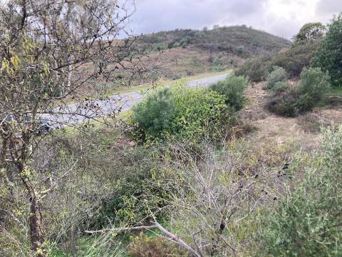 TERRENO RUSTICO COM 920 M2 - COM POÇO - NORA NOVA - ODELEITE - CASTRO MARIM - ALGARVE