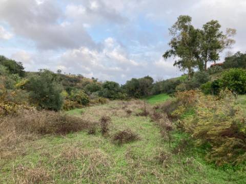 TERRENO RUSTICO COM 760 M2 - COM POÇO - EM ALTA MORA - ODELEITE - CASTRO MARIM