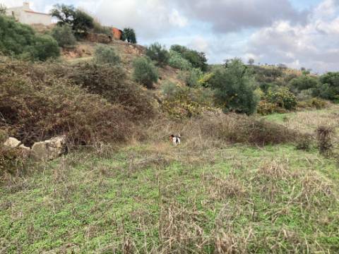 TERRENO RUSTICO COM 760 M2 - COM POÇO - EM ALTA MORA - ODELEITE - CASTRO MARIM