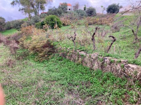 TERRENO RUSTICO COM 760 M2 - COM POÇO - EM ALTA MORA - ODELEITE - CASTRO MARIM