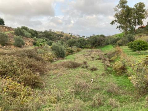 TERRENO RUSTICO COM 760 M2 - COM POÇO - EM ALTA MORA - ODELEITE - CASTRO MARIM