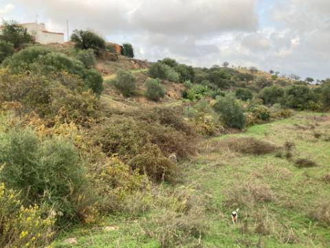 TERRENO RUSTICO COM 760 M2 - COM POÇO - EM ALTA MORA - ODELEITE - CASTRO MARIM