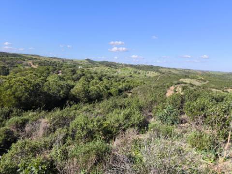 TERRENO COM 99.400 M2 - VISTA MAR - POSSIBILIDADE DE CONSTRUÇÃO - HABITAÇÃO E TURISMO - BOTELHAS - VALE ANDREU - CASTRO MARIM - ALGARVE
