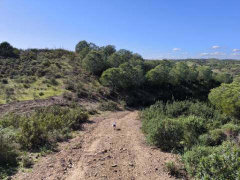 TERRENO COM 99.400 M2 - VISTA MAR - POSSIBILIDADE DE CONSTRUÇÃO - HABITAÇÃO E TURISMO - BOTELHAS - VALE ANDREU - CASTRO MARIM - ALGARVE