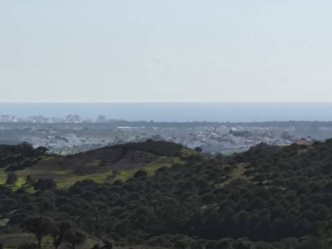 TERRENO COM 99.400 M2 - VISTA MAR - POSSIBILIDADE DE CONSTRUÇÃO - HABITAÇÃO E TURISMO - BOTELHAS - VALE ANDREU - CASTRO MARIM - ALGARVE