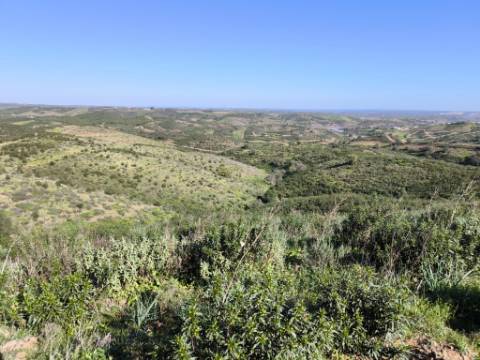 TERRENO COM 99.400 M2 - VISTA MAR - POSSIBILIDADE DE CONSTRUÇÃO - HABITAÇÃO E TURISMO - BOTELHAS - VALE ANDREU - CASTRO MARIM - ALGARVE