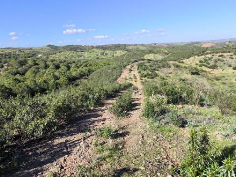 TERRENO COM 99.400 M2 - VISTA MAR - POSSIBILIDADE DE CONSTRUÇÃO - HABITAÇÃO E TURISMO - BOTELHAS - VALE ANDREU - CASTRO MARIM - ALGARVE
