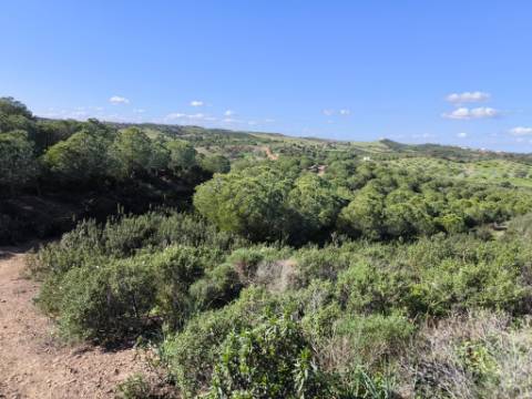 TERRENO COM 99.400 M2 - VISTA MAR - POSSIBILIDADE DE CONSTRUÇÃO - HABITAÇÃO E TURISMO - BOTELHAS - VALE ANDREU - CASTRO MARIM - ALGARVE