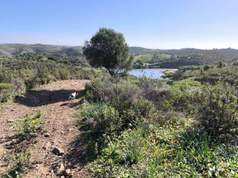 TERRENO COM 99.400 M2 - VISTA MAR - POSSIBILIDADE DE CONSTRUÇÃO - HABITAÇÃO E TURISMO - BOTELHAS - VALE ANDREU - CASTRO MARIM - ALGARVE