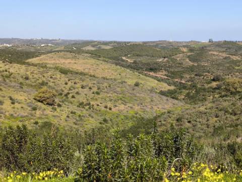 TERRENO COM 99.400 M2 - VISTA MAR - POSSIBILIDADE DE CONSTRUÇÃO - HABITAÇÃO E TURISMO - BOTELHAS - VALE ANDREU - CASTRO MARIM - ALGARVE