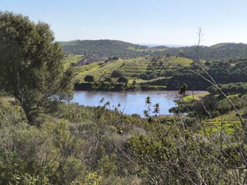 TERRENO COM 99.400 M2 - VISTA MAR - POSSIBILIDADE DE CONSTRUÇÃO - HABITAÇÃO E TURISMO - BOTELHAS - VALE ANDREU - CASTRO MARIM - ALGARVE