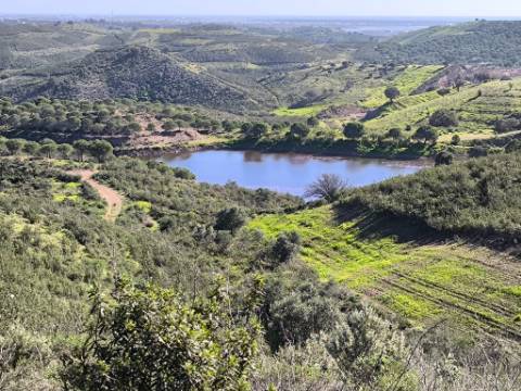 TERRENO COM 99.400 M2 - VISTA MAR - POSSIBILIDADE DE CONSTRUÇÃO - HABITAÇÃO E TURISMO - BOTELHAS - VALE ANDREU - CASTRO MARIM - ALGARVE