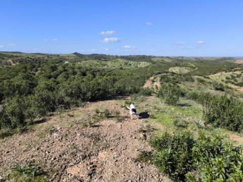 TERRENO COM 99.400 M2 - VISTA MAR - POSSIBILIDADE DE CONSTRUÇÃO - HABITAÇÃO E TURISMO - BOTELHAS - VALE ANDREU - CASTRO MARIM - ALGARVE