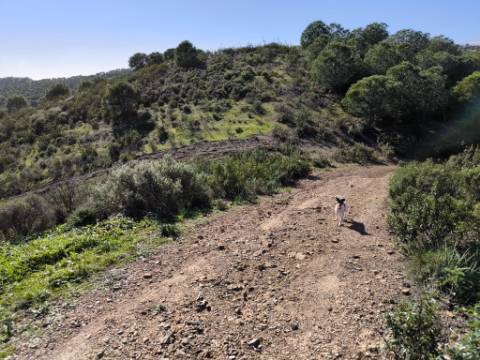 TERRENO COM 99.400 M2 - VISTA MAR - POSSIBILIDADE DE CONSTRUÇÃO - HABITAÇÃO E TURISMO - BOTELHAS - VALE ANDREU - CASTRO MARIM - ALGARVE