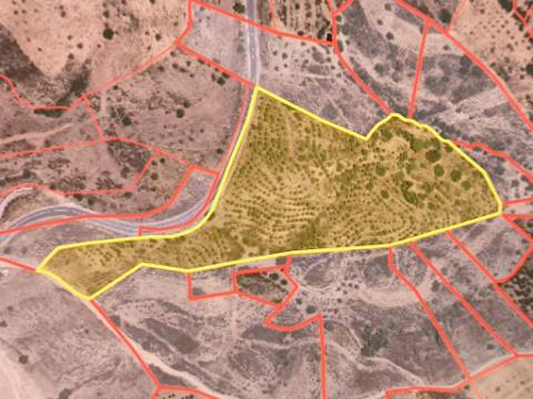 TERRENO COM 32440 M2 COM ARVORES - VISTA - POSSIBILIDADE DE CONSTRUIR APOIO AGRICOLA - CORTE PEQUENA - MAGOITO - CASTRO MARIM - ALGARVE