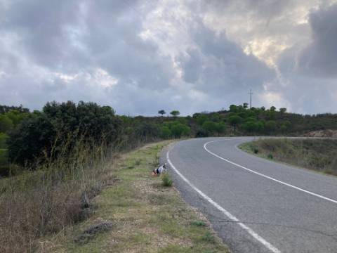 TERRENO COM 32440 M2 COM ARVORES - VISTA - POSSIBILIDADE DE CONSTRUIR APOIO AGRICOLA - CORTE PEQUENA - MAGOITO - CASTRO MARIM - ALGARVE