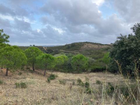 TERRENO COM 32440 M2 COM ARVORES - VISTA - POSSIBILIDADE DE CONSTRUIR APOIO AGRICOLA - CORTE PEQUENA - MAGOITO - CASTRO MARIM - ALGARVE