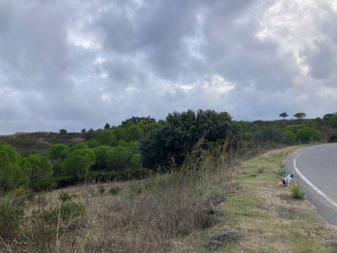 TERRENO COM 32440 M2 COM ARVORES - VISTA - POSSIBILIDADE DE CONSTRUIR APOIO AGRICOLA - CORTE PEQUENA - MAGOITO - CASTRO MARIM - ALGARVE