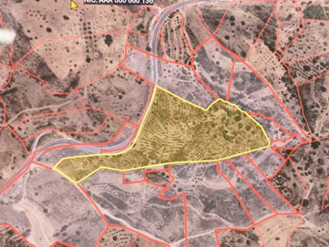 TERRENO COM 32440 M2 COM ARVORES - VISTA - POSSIBILIDADE DE CONSTRUIR APOIO AGRICOLA - CORTE PEQUENA - MAGOITO - CASTRO MARIM - ALGARVE