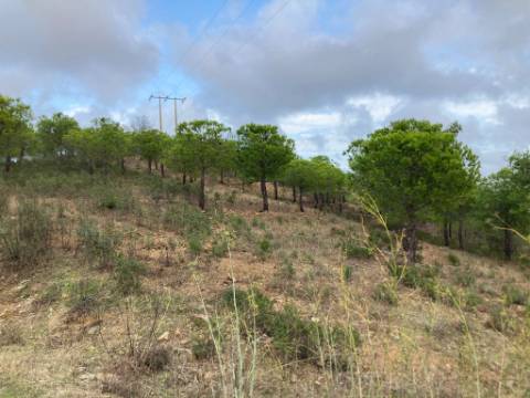 TERRENO COM 32440 M2 COM ARVORES - VISTA - POSSIBILIDADE DE CONSTRUIR APOIO AGRICOLA - CORTE PEQUENA - MAGOITO - CASTRO MARIM - ALGARVE