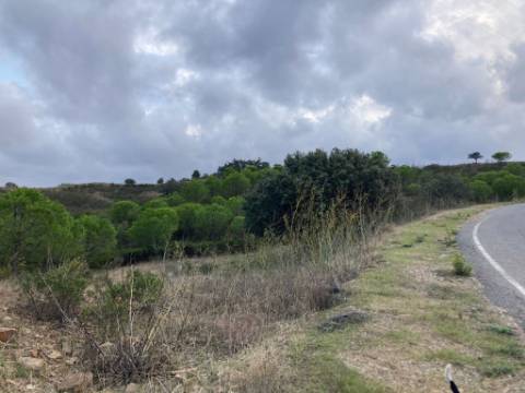 TERRENO COM 32440 M2 COM ARVORES - VISTA - POSSIBILIDADE DE CONSTRUIR APOIO AGRICOLA - CORTE PEQUENA - MAGOITO - CASTRO MARIM - ALGARVE
