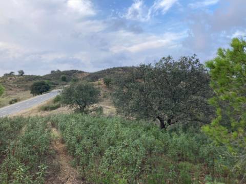 TERRENO COM 32440 M2 COM ARVORES - VISTA - POSSIBILIDADE DE CONSTRUIR APOIO AGRICOLA - CORTE PEQUENA - MAGOITO - CASTRO MARIM - ALGARVE