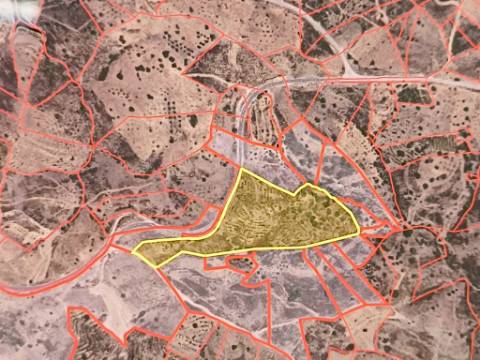 TERRENO COM 32440 M2 COM ARVORES - VISTA - POSSIBILIDADE DE CONSTRUIR APOIO AGRICOLA - CORTE PEQUENA - MAGOITO - CASTRO MARIM - ALGARVE