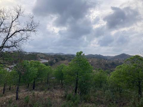 TERRENO COM 32440 M2 COM ARVORES - VISTA - POSSIBILIDADE DE CONSTRUIR APOIO AGRICOLA - CORTE PEQUENA - MAGOITO - CASTRO MARIM - ALGARVE