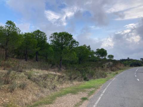 TERRENO COM 32440 M2 COM ARVORES - VISTA - POSSIBILIDADE DE CONSTRUIR APOIO AGRICOLA - CORTE PEQUENA - MAGOITO - CASTRO MARIM - ALGARVE