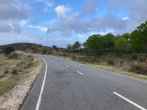 TERRENO COM 32440 M2 COM ARVORES - VISTA - POSSIBILIDADE DE CONSTRUIR APOIO AGRICOLA - CORTE PEQUENA - MAGOITO - CASTRO MARIM - ALGARVE