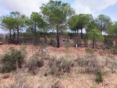 TERRENO COM 32440 M2 COM ARVORES - VISTA - POSSIBILIDADE DE CONSTRUIR APOIO AGRICOLA - CORTE PEQUENA - MAGOITO - CASTRO MARIM - ALGARVE