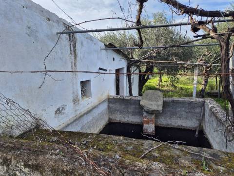 Terreno em Alcoutim, muito perto do Rio Guadiana, com viabilidade de construção