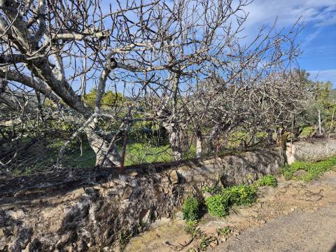 Terreno em Alcoutim, muito perto do Rio Guadiana, com viabilidade de construção