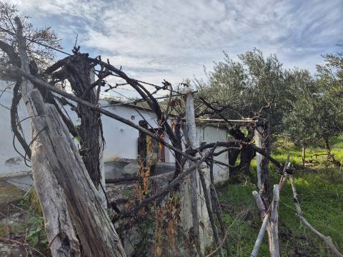 Terreno em Alcoutim, muito perto do Rio Guadiana, com viabilidade de construção