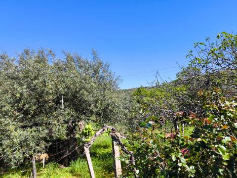 Terreno em Alcoutim, muito perto do Rio Guadiana, com viabilidade de construção