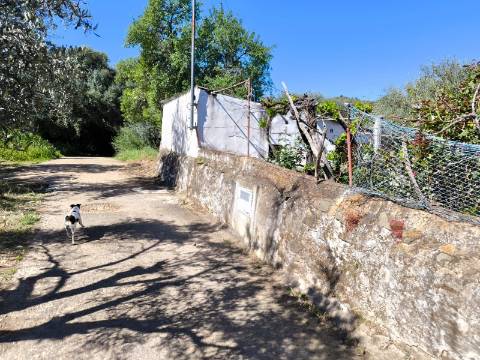 Terreno em Alcoutim, muito perto do Rio Guadiana, com viabilidade de construção