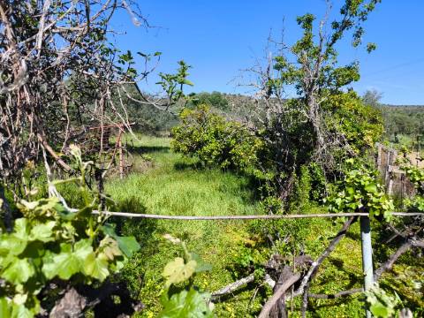 Terreno em Alcoutim, muito perto do Rio Guadiana, com viabilidade de construção
