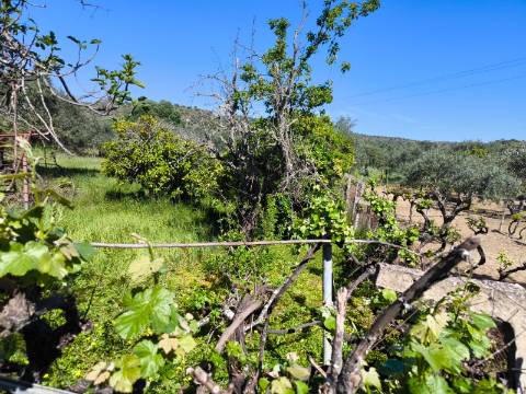 Terreno em Alcoutim, muito perto do Rio Guadiana, com viabilidade de construção
