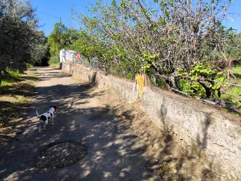 Terreno em Alcoutim, muito perto do Rio Guadiana, com viabilidade de construção