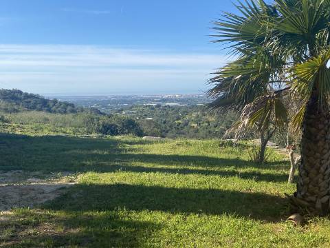 Moradia T2 com amplo Terreno em Estoi - Faro