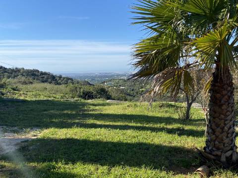 Moradia T2 com amplo Terreno em Estoi - Faro