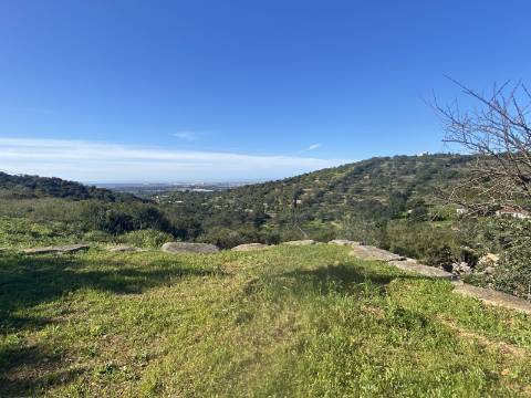 Moradia T2 com amplo Terreno em Estoi - Faro