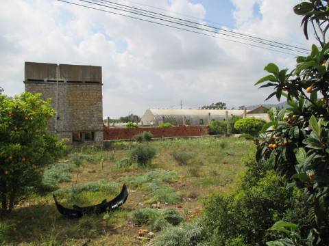 Terreno misto em Santa Barbara de Nexe ( Faltosa ) entre o mar e a serra, Aldeia que pertence a Faro.
