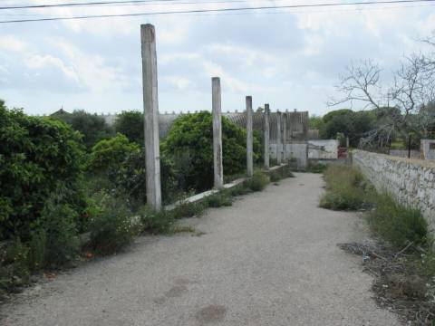 Terreno misto em Santa Barbara de Nexe ( Faltosa ) entre o mar e a serra, Aldeia que pertence a Faro.
