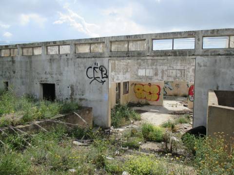 Terreno misto em Santa Barbara de Nexe ( Faltosa ) entre o mar e a serra, Aldeia que pertence a Faro.
