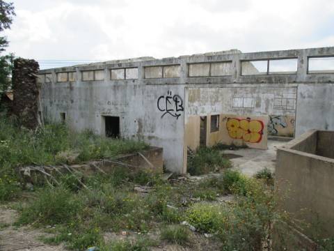 Terreno misto em Santa Barbara de Nexe ( Faltosa ) entre o mar e a serra, Aldeia que pertence a Faro.
