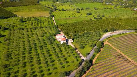 Magnífica quinta próxima de Tavira