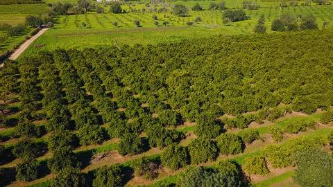 Magnífica quinta próxima de Tavira