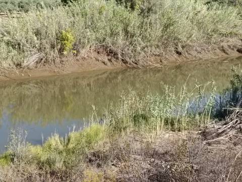 TERRENO RUSTICO COM 680 M2 - PLANO - JUNTO AO RIBEIRO - AGUA DA REGA - TENENCIA - CASTRO MARIM - ALGARVE