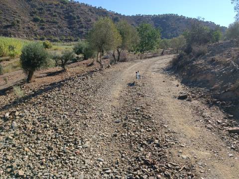 TERRENO RUSTICO COM 680 M2 - PLANO - JUNTO AO RIBEIRO - AGUA DA REGA - TENENCIA - CASTRO MARIM - ALGARVE